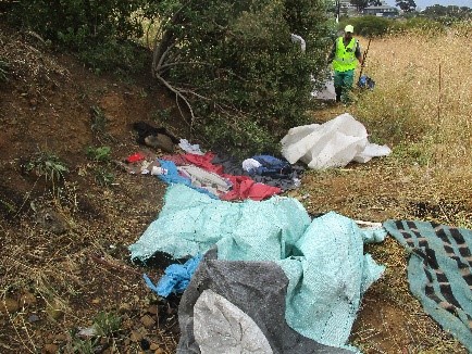 illegal dumping (before)