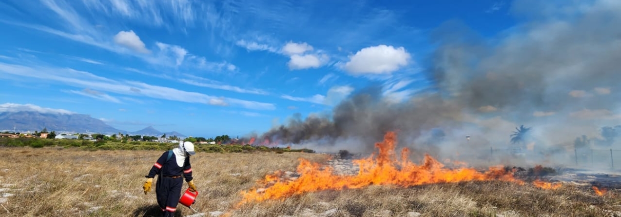 Cape Town fires - ecological burns