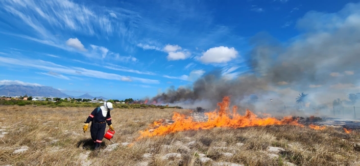 Cape Town fires - ecological burns