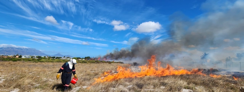 Cape Town fires - ecological burns