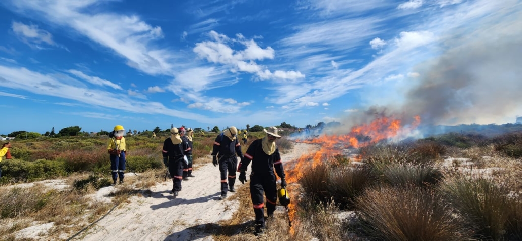 Cape Town fires - ecological burns