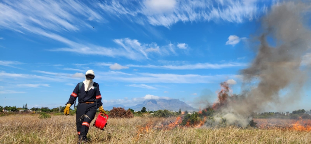 Cape Town fires - ecological burns