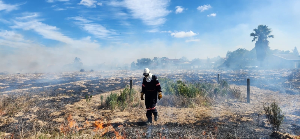 Cape Town fires - ecological burns